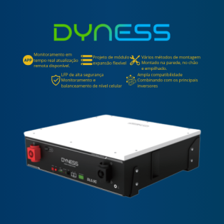 BATERIA LITIO ION DL5.0C 51.2V 100 AH | LV - IN WALL - DYNESS (P/ MONO 220V)